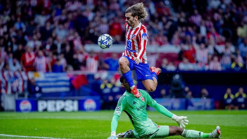 耐心自然被 耐心自然被